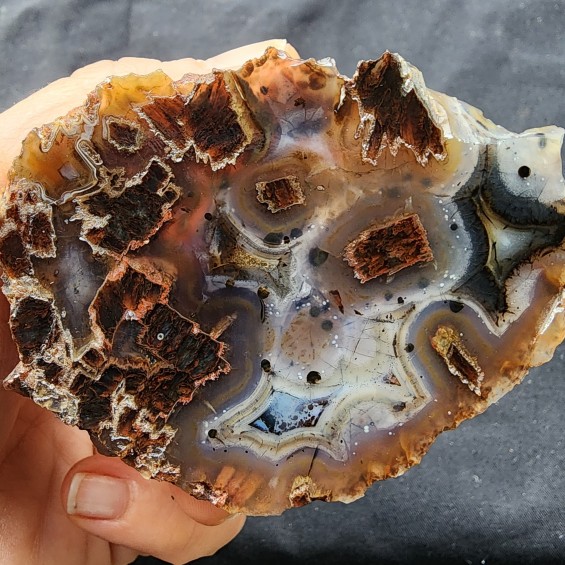 Rutile Agate, Collectible Agate Slabs, Healing Crystal, Agate Specimen, めのう, 마노, 玛瑙