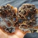 Rutile Agate, Collectible Agate Slabs, Healing Crystal, Agate Specimen, めのう, 마노, 玛瑙