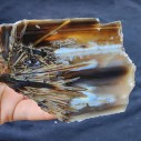 Stick Agate Pair, Collectible Turkish Agate