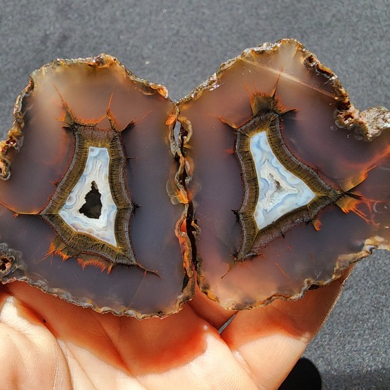 Agate Geode Pair, Collectible Geode