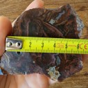 Moss Agate Pair, Collectible & Lapidary Rough