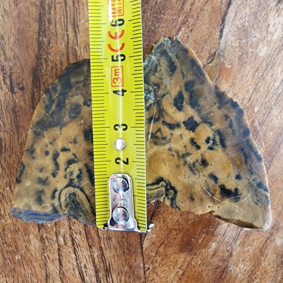 Rare Collectible Opal Pair, Leopard/Cheetah Opal Viewing Stone