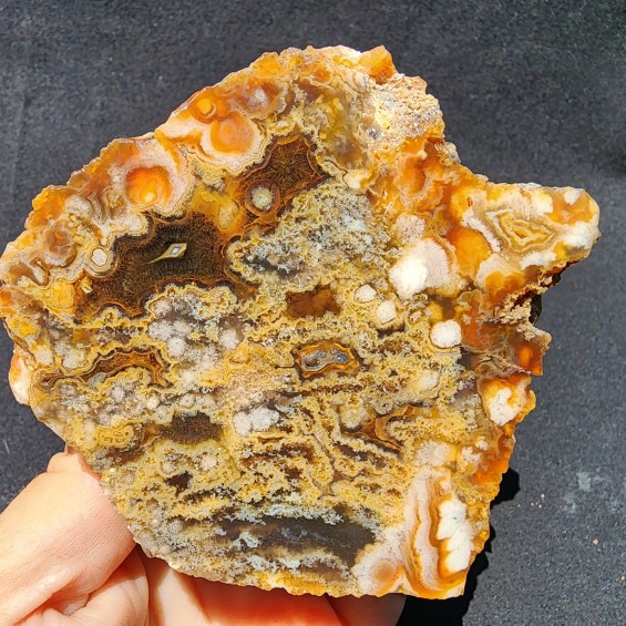 Collectible Agate Slabs, Agate Pair, Lapidary Rough
