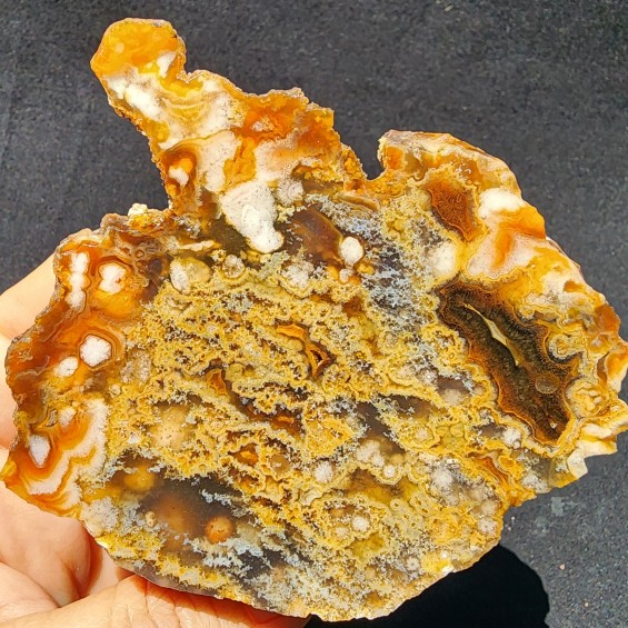 Collectible Agate Slabs, Agate Pair, Lapidary Rough